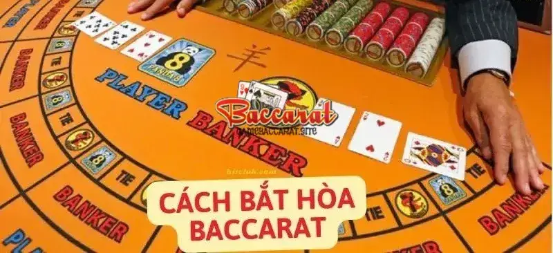 Khám Phá Chi Tiết Về Cửa Hòa Trong Baccarat