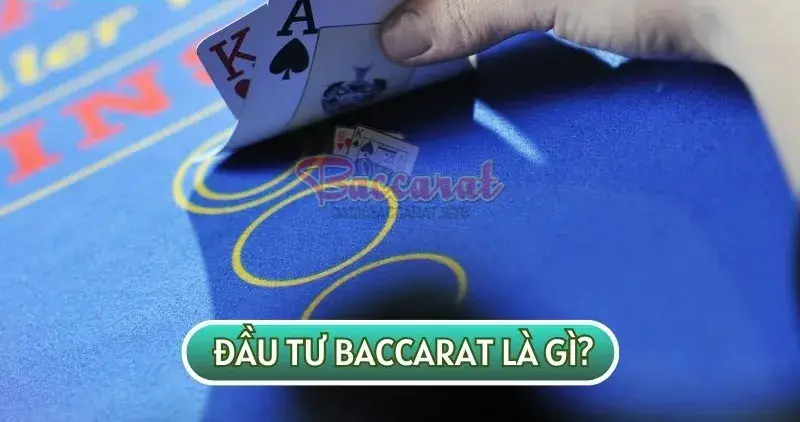 Đầu tư trong baccarat có thực sự là một hình thức đầu tư?