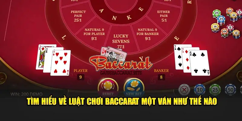 Giải Thích Các Thuật Ngữ Quan Trọng Trong Baccarat
