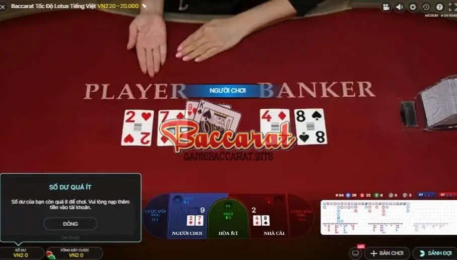 Tổng Quan Về Baccarat và Các Cửa Cược