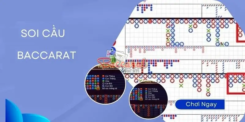Phân Tích Kết Quả Lịch Sử