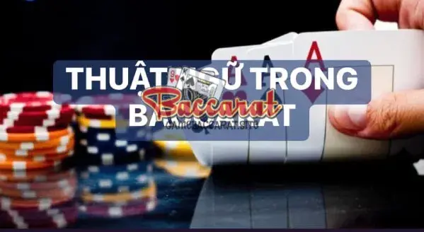Nhóm Thuật Ngữ Mô Tả Các Bên Tham Gia Trong Baccarat