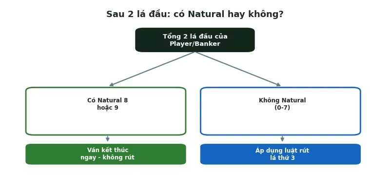 Natural trong Baccarat là gì: Điểm 8-9 & quy tắc thắng 3 Flowchart Natural quyết định kết thúc ván hay rút bài
