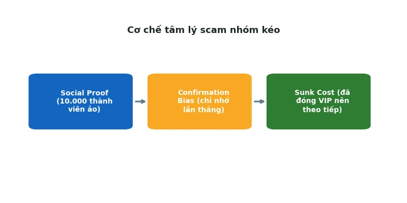 Cơ chế tâm lý 3 giai đoạn của scam nhóm kéo